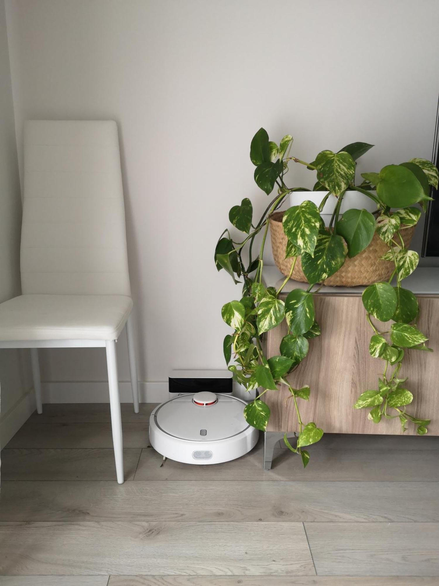 Apartamento Playa Valle Niza マラガ エクステリア 写真
